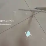 Rodo limpador de piso